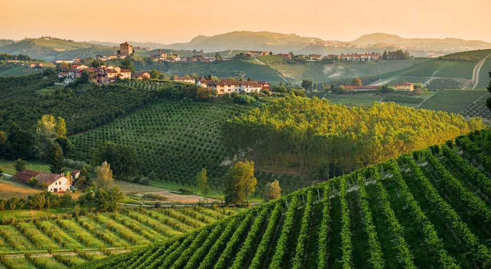 Monferrato: a charming day-trip among wine and castles